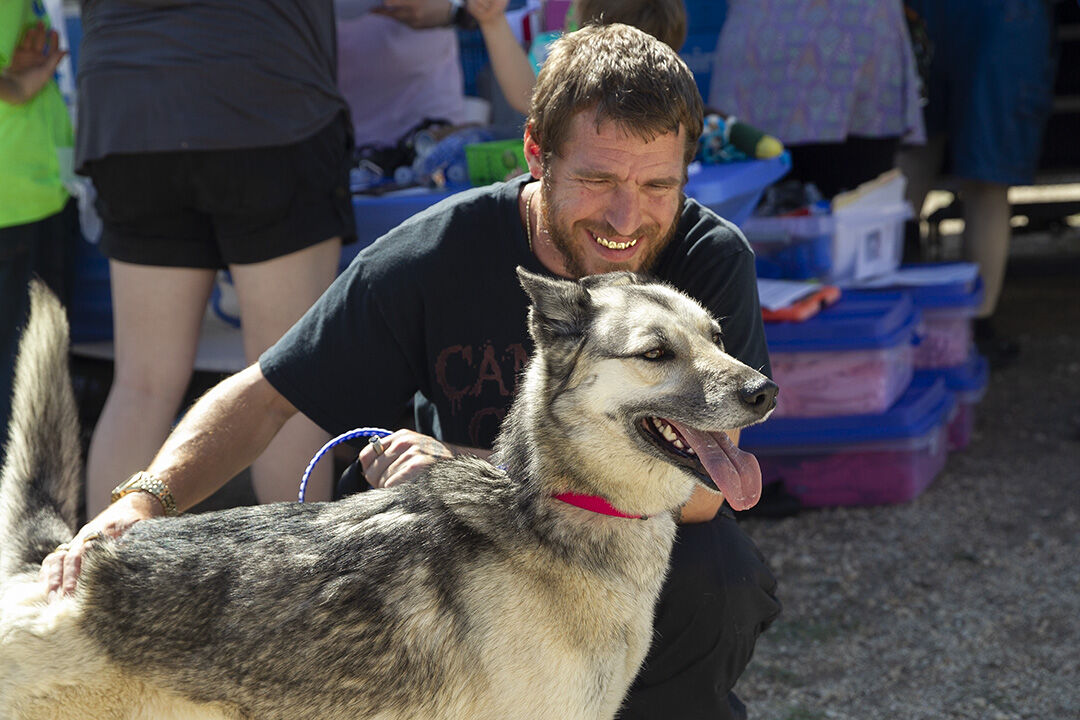 Petfest
